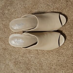 Charles sandles in a 9.5